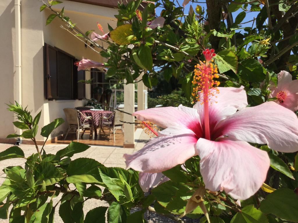 Villa Ro Porto Columbu - Perd'E Sali المظهر الخارجي الصورة