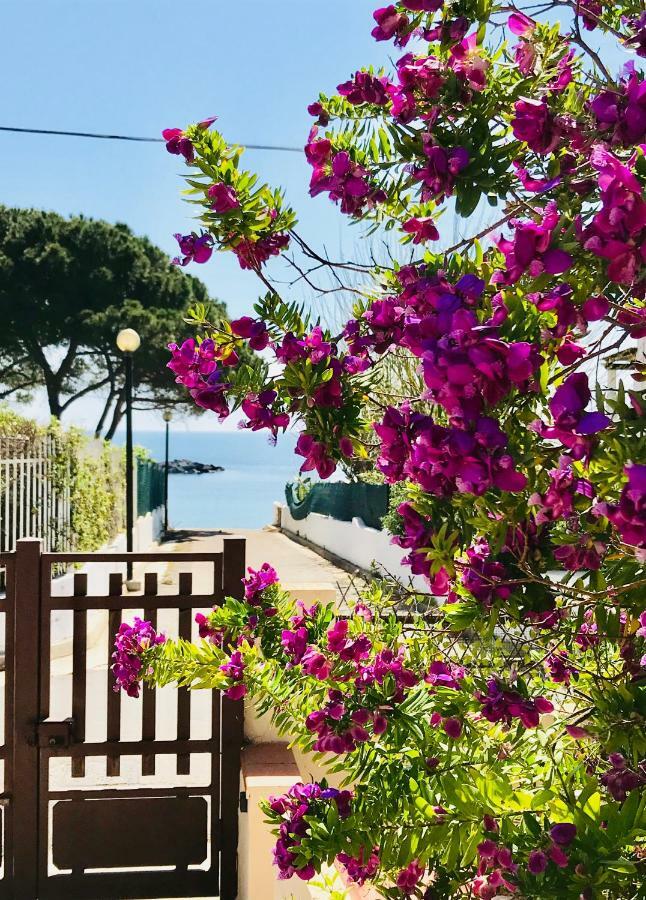 Villa Ro Porto Columbu - Perd'E Sali المظهر الخارجي الصورة